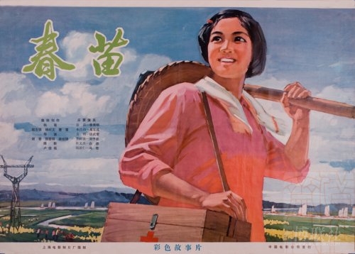 高中毕业证书几寸